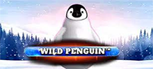 Wild Penguin a aventura gelada que vai derreter seu coração!