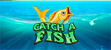 Quer pescar muitos prêmios? Conheça o Catch a Fish Bingo!