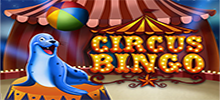 Novo Circus Bingo by Caleta Gaming 